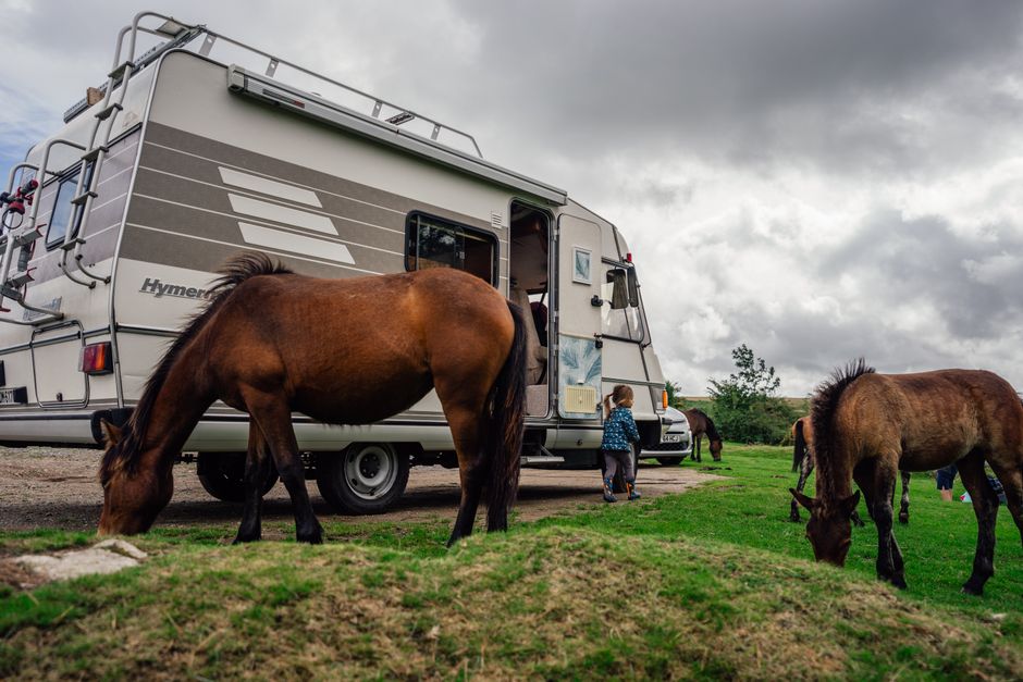 Your First Year Full-Time RVing: A Beginner's Roadmap
