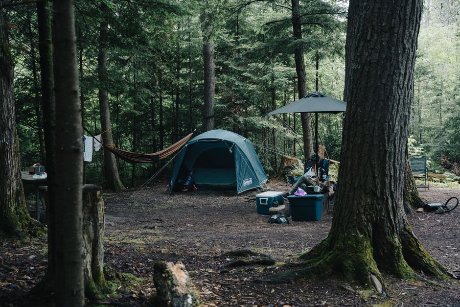 Camp Free With Harvest Hosts Membership